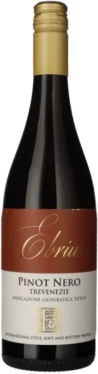Borgo al Pascolo - Ebrius Pinot Noir Trevenezie IGT 2024