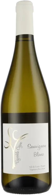 Domaine Vignoble Cogné - Sauvignon Blanc IGP Loire 2024