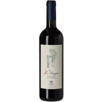 La Magia Sangiovese Il Vispo 2024