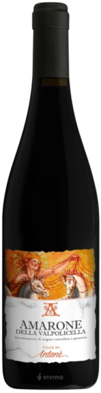 Le Ville di Antanè - Amarone Della Valpolicella DOCG 2020