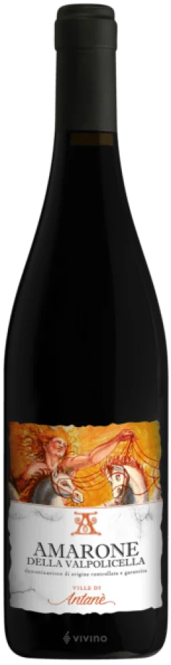 Le Ville di Antanè - Amarone Della Valpolicella DOCG 2020