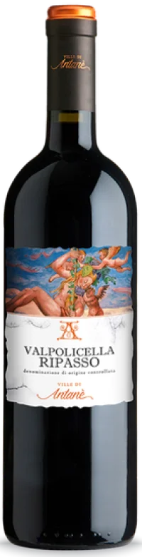 Le Ville di Antanè - Valpolicella Ripasso 2021