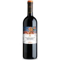Le Ville di Antanè - Valpolicella Ripasso 2021