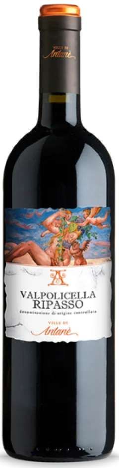 Le Ville di Antanè - Valpolicella Ripasso 2021