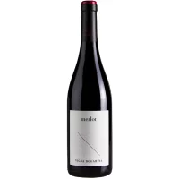 Vigna Dogarina Merlot 2024
